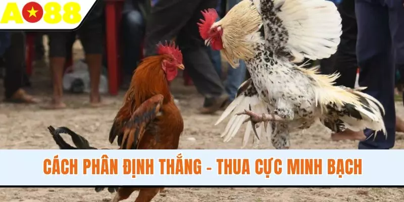 Cách phân định thắng - thua cực minh bạch