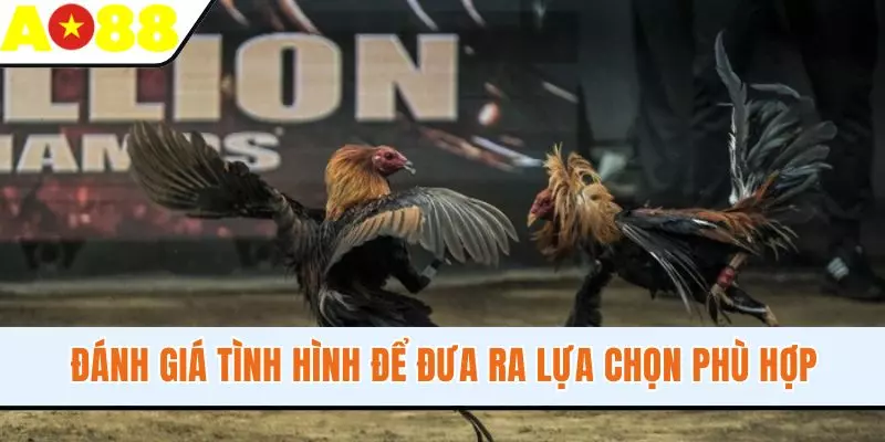 Đánh giá tình hình để đưa ra lựa chọn phù hợp